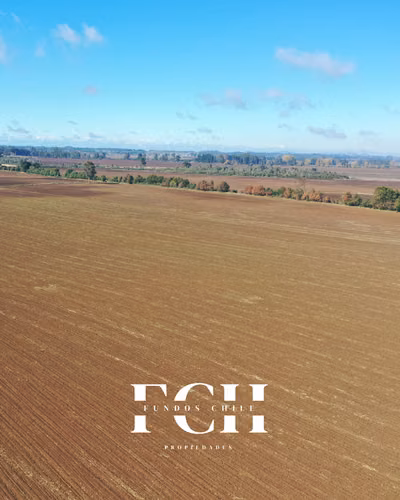 717 Hectáreas Agricolas con agua - IX región. - Imagen 9