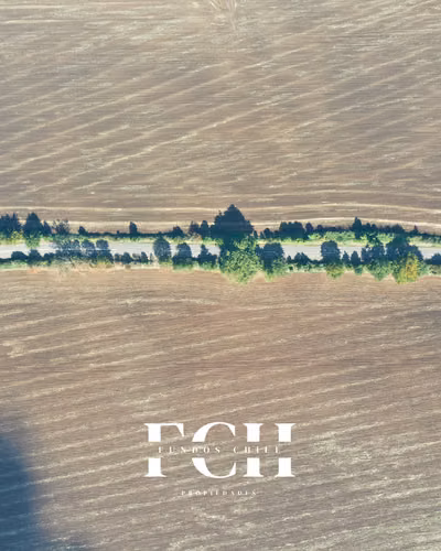 717 Hectáreas Agricolas con agua - IX región. - Imagen 12