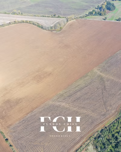 717 Hectáreas Agricolas con agua - IX región. - Imagen 14