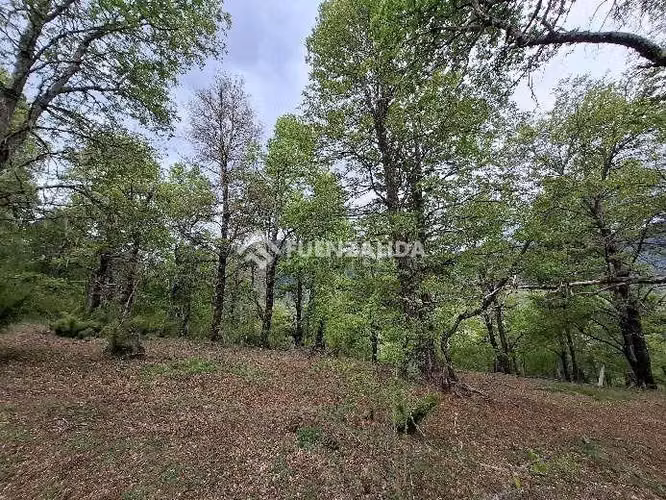 Lugar soñado - Imagen 2