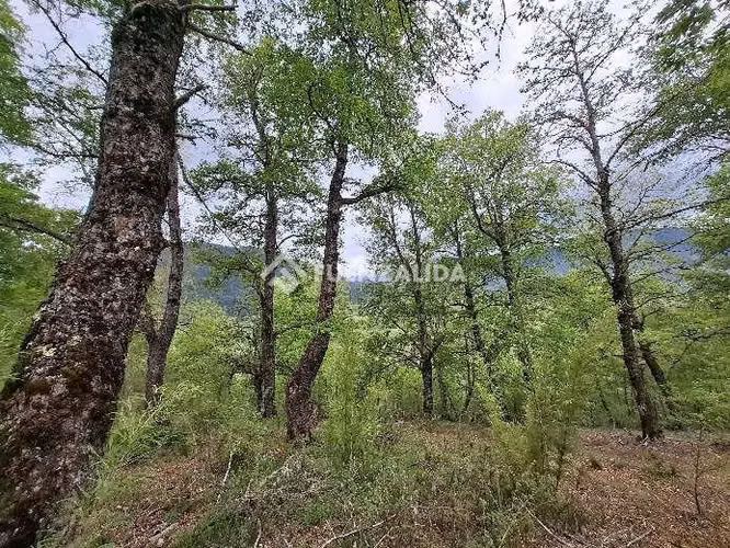 Parcela en venta en Lugar soñado