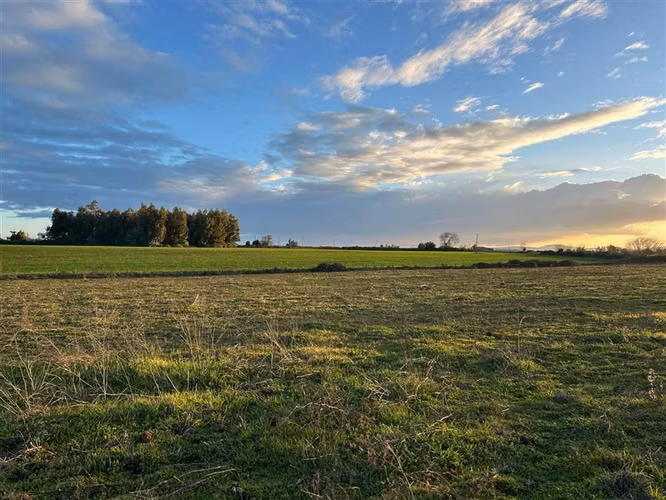 Se venden Parcelas de 5.000 m2 Pangue Abajo, San Rafael - Imagen 3