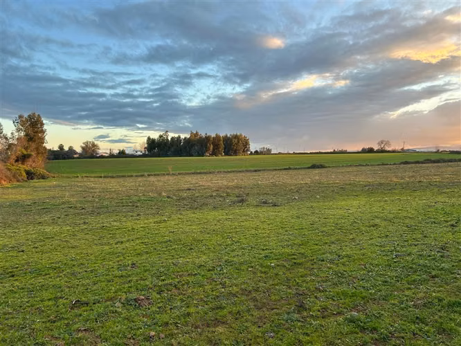 Se venden Parcelas de 5.000 m2 Pangue Abajo, San Rafael