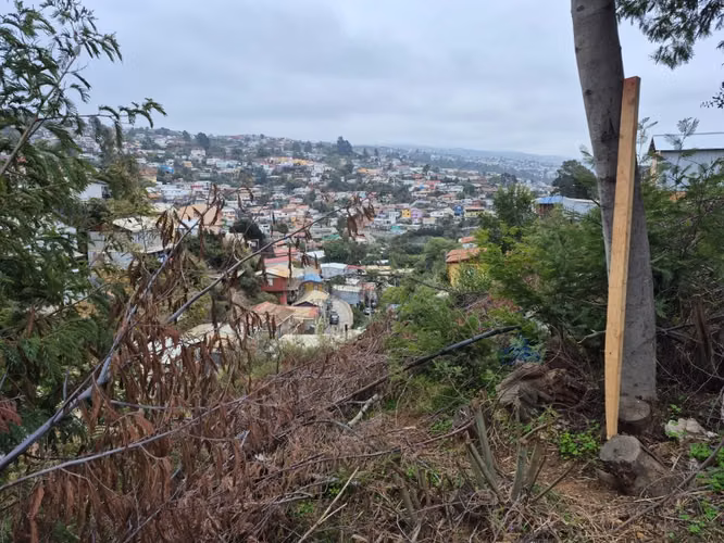 VENDE TERRENO CALLE MIGUEL SCHWAB VALPARAÍSO