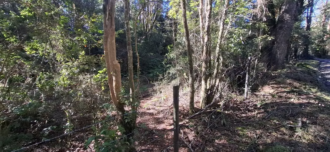Oportunidad de Inversión en Terreno Amplio (179378)