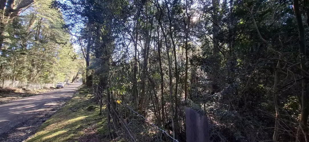 Entorno Natural y Tranquilo para Disfrutar (179378) - Imagen 12
