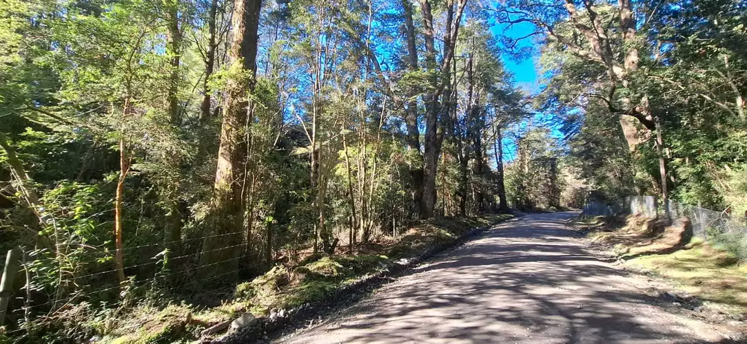 Oportunidad de Inversión en Terreno Amplio (179378)