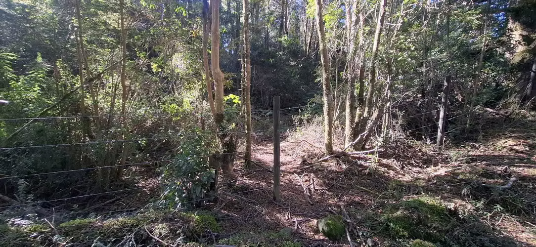 Oportunidad de Inversión en Terreno Amplio (179378)