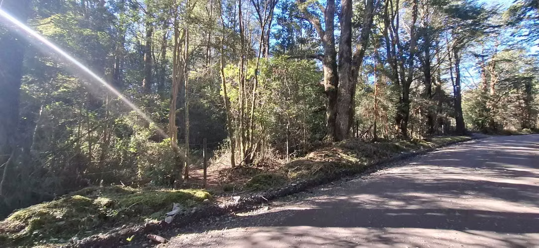Oportunidad de Inversión en Terreno Amplio (179378)