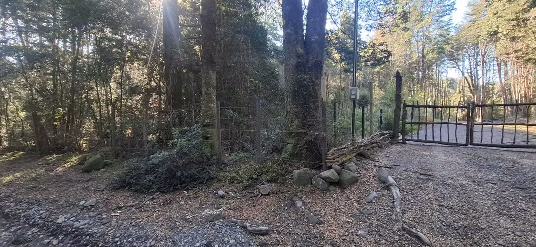 Oportunidad de Inversión en Terreno Amplio (179378)