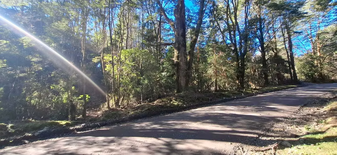 Oportunidad de Inversión en Terreno Amplio (179378)
