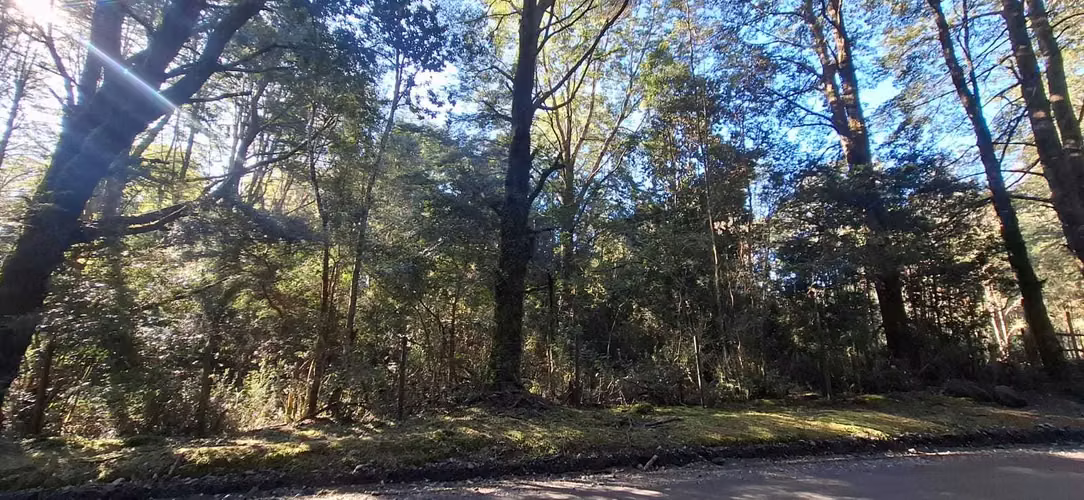 Oportunidad de Inversión en Terreno Amplio (179378)