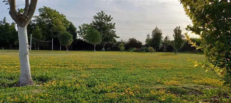 Parcela en venta en Calera de Tango - Imagen 10