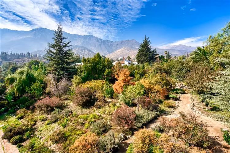 Linda casa en condominio Arboretum, 4000 mts2 de terreno - Imagen 29