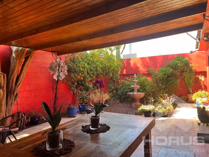 Oportunidad sector San Román ! — Copiapo - Imagen 17