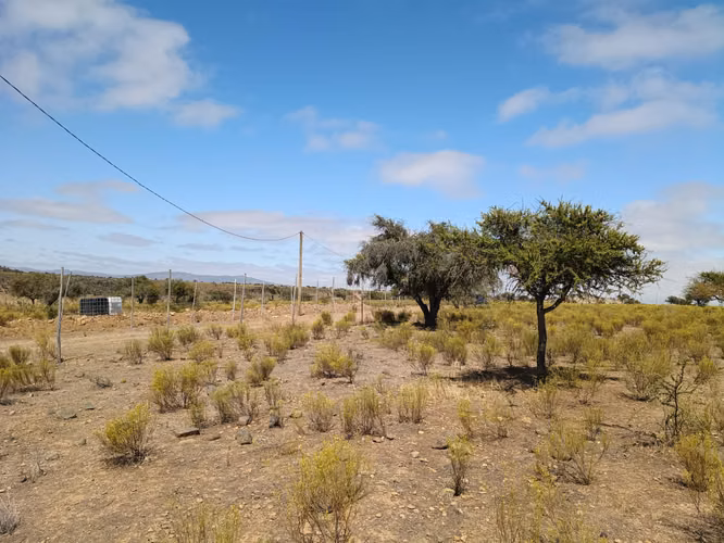 VENTA PARCELA PLANA CERCADA  5000MTS2 CAMPO LINDO OVALLE - Imagen 10