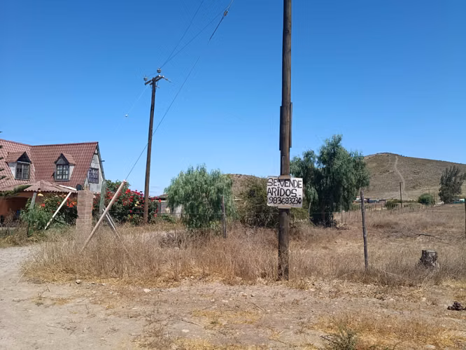 VENTA PARCELA PLANA CERCADA  5000MTS2 CAMPO LINDO OVALLE - Imagen 6