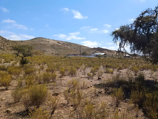 VENTA PARCELA PLANA CERCADA  5000MTS2 CAMPO LINDO OVALLE - Imagen 13