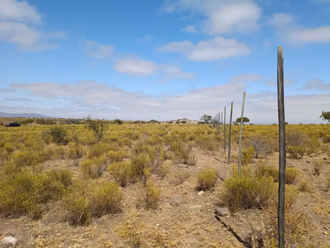 VENTA PARCELA PLANA CERCADA  5000MTS2 CAMPO LINDO OVALLE - Imagen 8