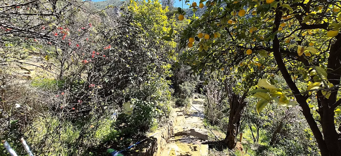 Venta de linda parcela con dos casas en Olmué, Quebrada Alvarado, casi al final. 128 M$