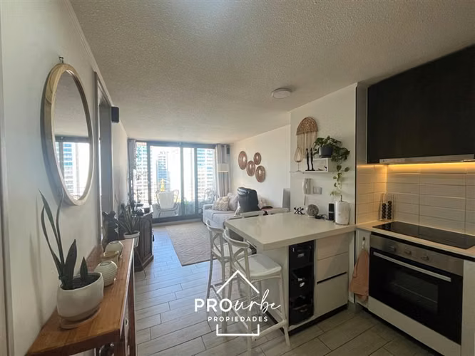 Venta 1D y 1B Estacion y Bod vista oriente piso 25 / Ñuñoa