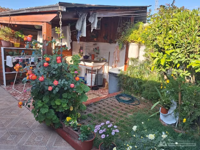 Manso de Velasco