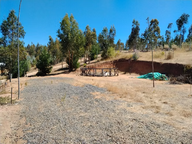 Gestimob vende parcela de 5.000 m2 con casa en Nilahue Alto comuna de  Lolol