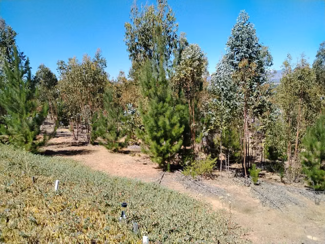 Gestimob vende parcela de 5.000 m2 con casa en Nilahue Alto comuna de  Lolol