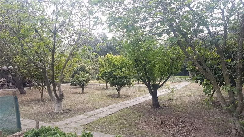Parcela en arriendo en Colina