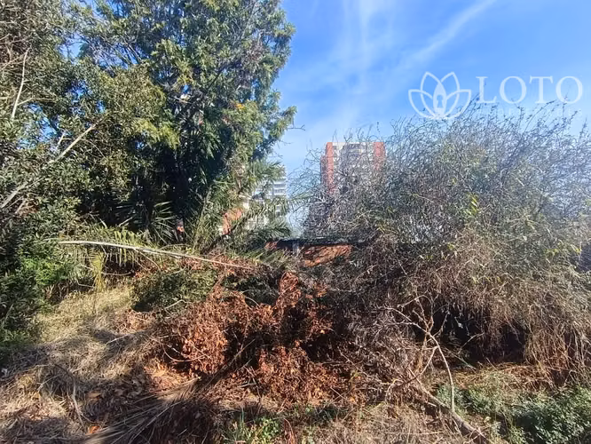 Terreno en venta sector céntrico Quilpué gran oportunidad inversión - Imagen 14