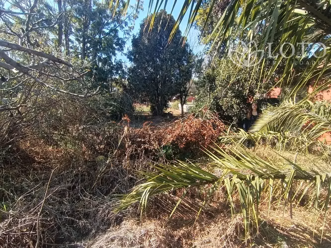 Terreno en venta sector céntrico Quilpué gran oportunidad inversión - Imagen 11