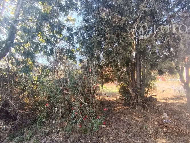 Terreno en venta sector céntrico Quilpué gran oportunidad inversión - Imagen 13