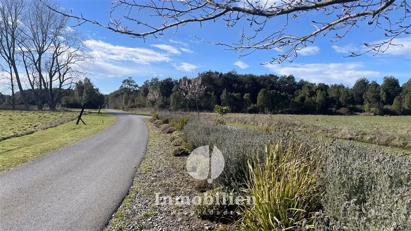 Parcela Esquina, marina, bosque nativo -Reserva de Frutillar - Imagen 16