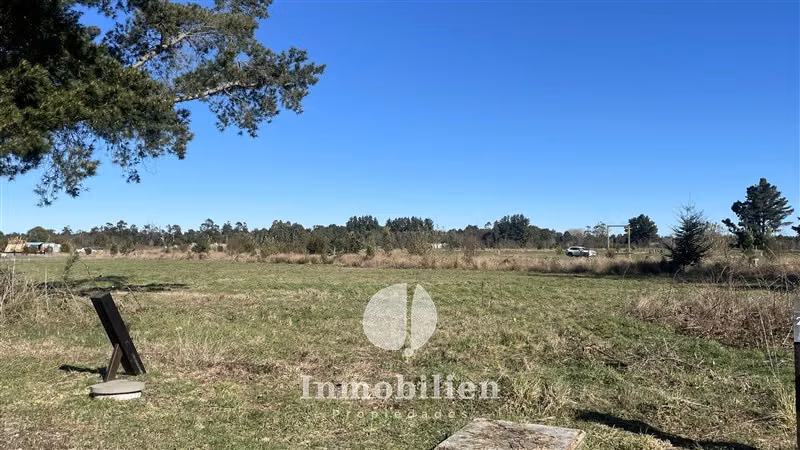 Parcela Esquina, marina, bosque nativo -Reserva de Frutillar - Imagen 7