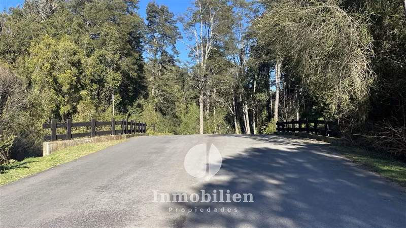Parcela Esquina, marina, bosque nativo -Reserva de Frutillar - Imagen 14