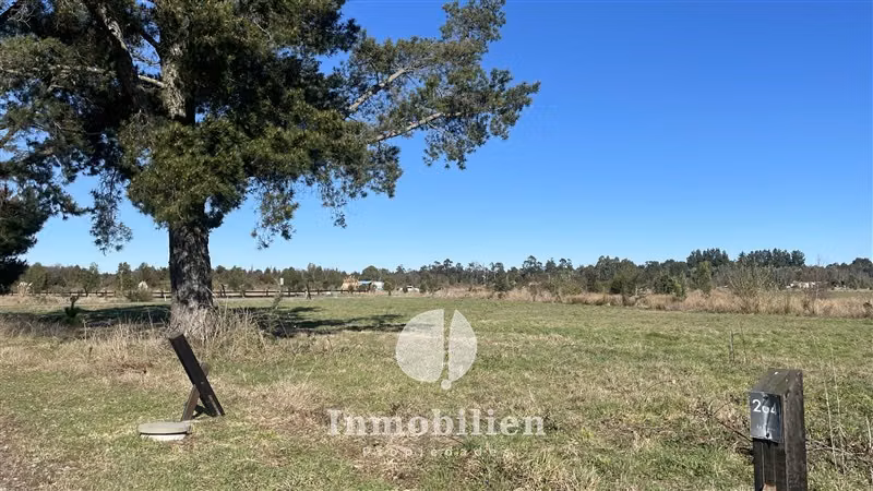 Parcela Esquina, marina, bosque nativo -Reserva de Frutillar - Imagen 8