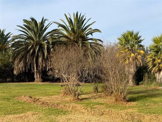 AP765 210 m2 en 4000 de terreno, 3D 2B estar y servicios