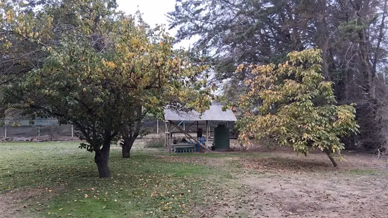 Parcela en venta 4 dorm y 3 baños en Carampangue - Imagen 12