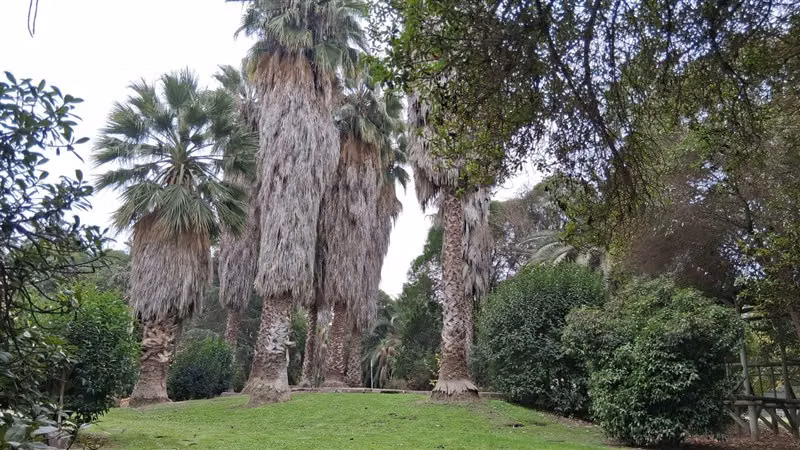 Parcela en venta 4 dorm y 3 baños en Carampangue - Imagen 11