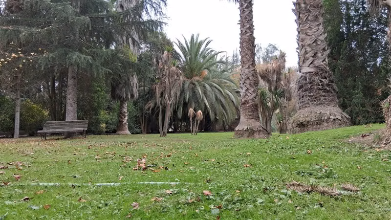 Parcela en venta 4 dorm y 3 baños en Carampangue - Imagen 13