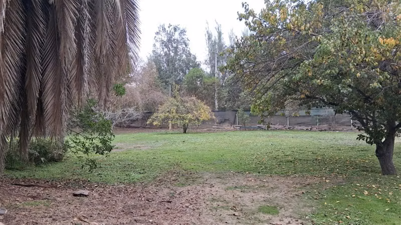 Parcela en venta 4 dorm y 3 baños en Carampangue - Imagen 14