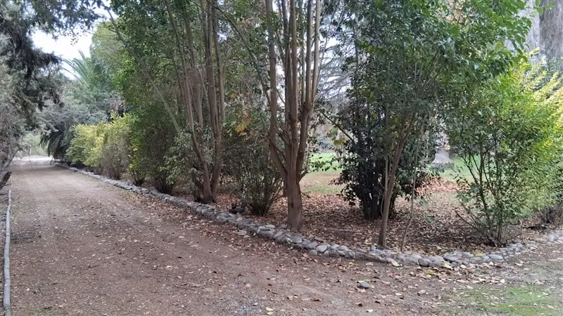 Parcela en venta 4 dorm y 3 baños en Carampangue - Imagen 6