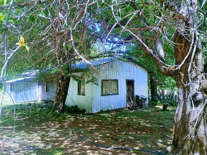 Se vende campo de 89 has, Troyo, Lonquimay