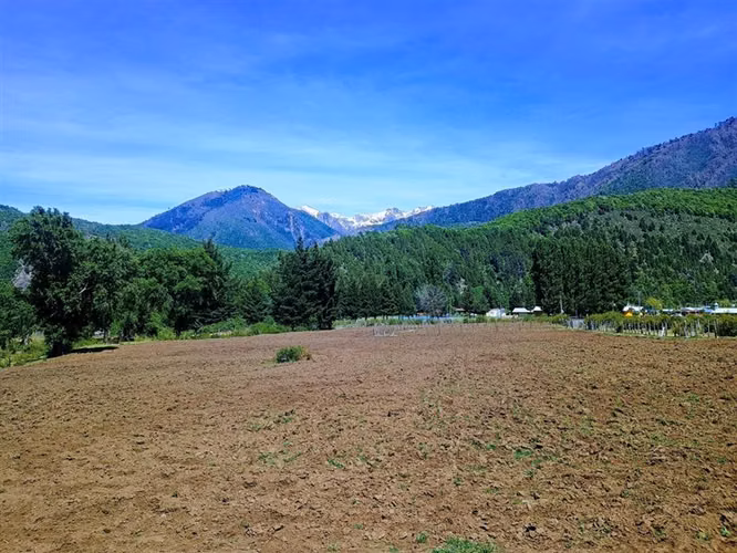 Se vende campo de 89 has, Troyo, Lonquimay