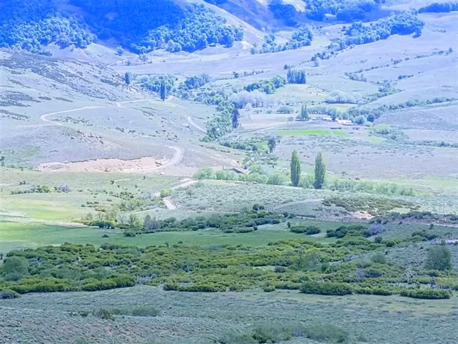 Agrícola en venta en Lonquimay