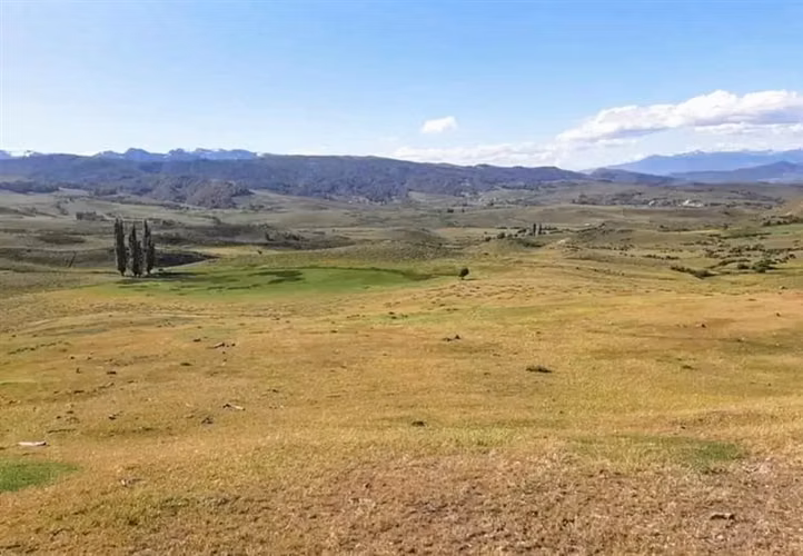 Agrícola en venta en Lonquimay