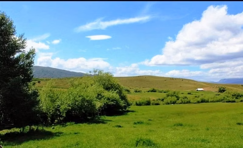 Agrícola en venta en Lonquimay