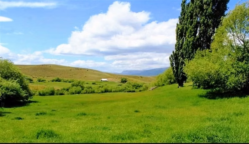 Agrícola en venta en Lonquimay