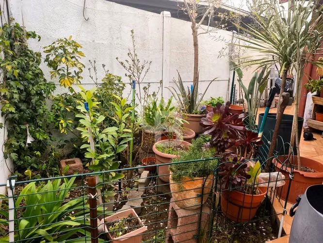 Excelente casa en pasaje cerrado - Imagen 13