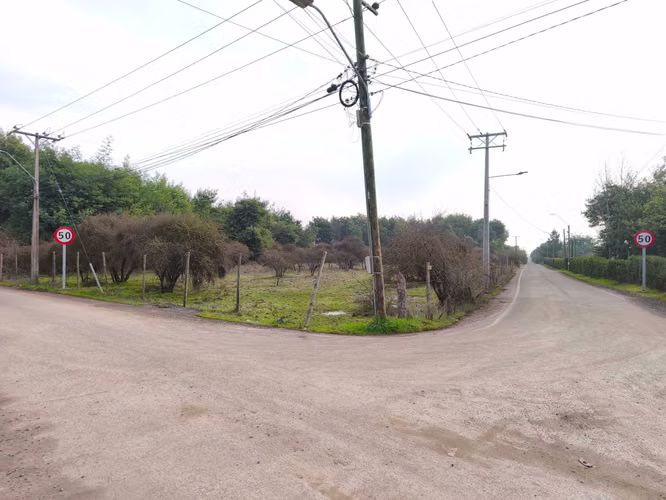 Parcela 5.000 m² Pangue Arriba – $24.990.000 (180428) - Imagen 2
